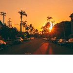 Vibe_clubXx