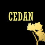Cedan Studio