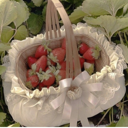🍓༉‧