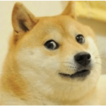 The Awesome Doge Groups