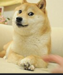 Markdoge