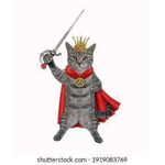 The Cat fighters