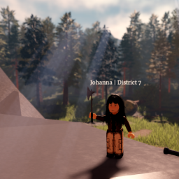 The 71st Hunger Games