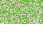 #princess daisies