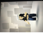 Bloxy high loves bloxburg