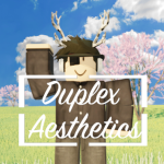 Duplex Aesthetics