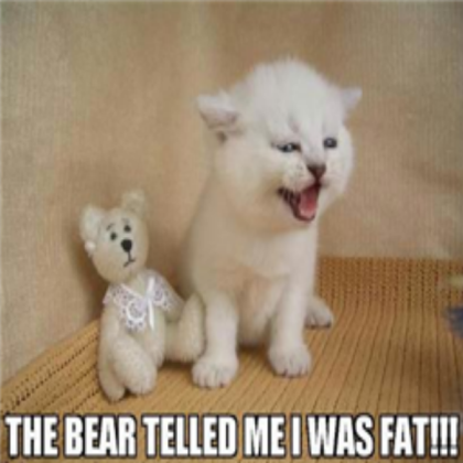 funny cat Roblox decal