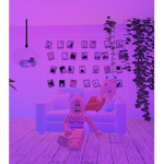 Rose Daisy