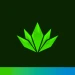Lotus Green