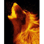 the way of the fire wolf