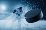Hockey community FANS