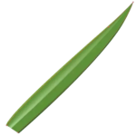 Touch Grass Games