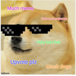 the doge gang 2020