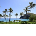 HawaiiMadness