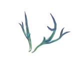 Crystal's Antler