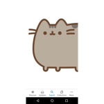 Forever Cats