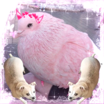 Empire des pigeons