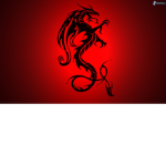 T.D.D. (The Dark Dragons)