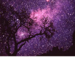 The Special Star
