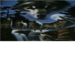 Wolf girls
