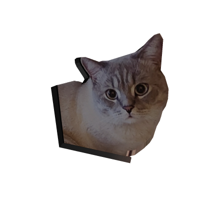 Pamuk