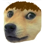 Bacon hair doge official group