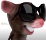 MohIsGoated