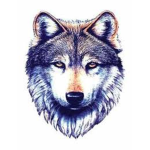 MM2 Wolves