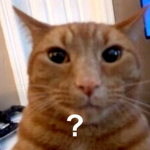 ?? Cat ??