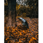 Autumn fever