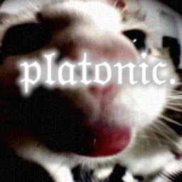 platonic. gallery