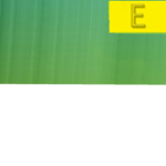 State of Eekon