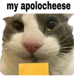 Sleepycheese