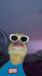 now duck Studios