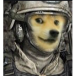 Doge Foundation Production Team