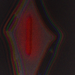 ᴅᴀsʜ ғᴀᴍɪʟʏ