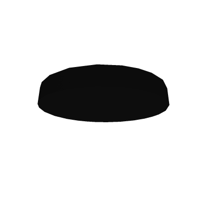 Modern House Light