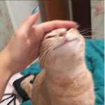 boi im poor now