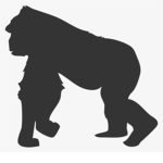 the planet of the gorillas