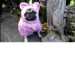 Pug loaf