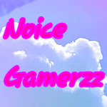 Noice Gamerzz