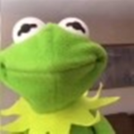 The Kermit the frog
