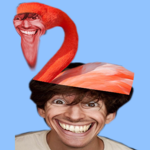 flamgo fan group 3