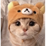 ForFriends111