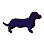 Dachshund Studio