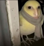 Dimnxsh