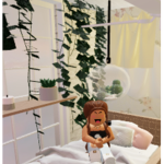 Fun and relax