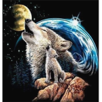 XxFerocious_WolfxX