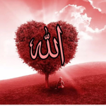 Islamic Brothers/Sisters ;D
