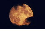 Gens Luna ₪